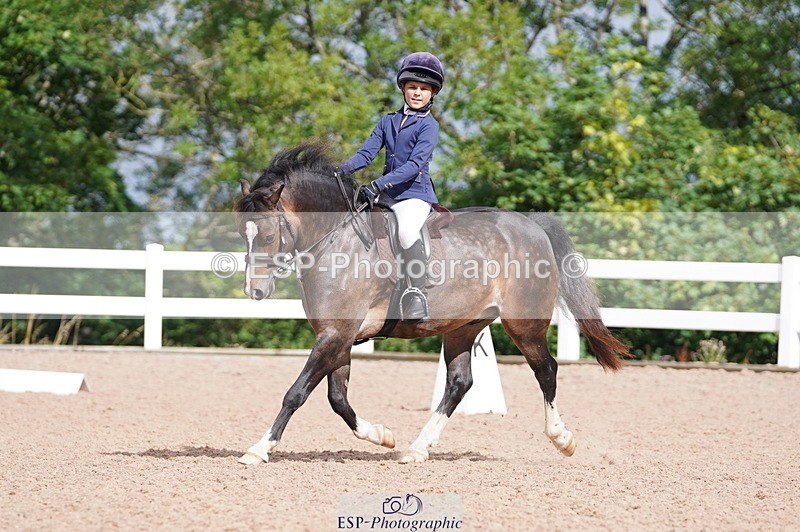 240809A-100024-00393 - Dressage Competition