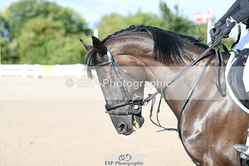 250801-082234-03682 - Cls 20 A&B Brit Nov & 90 Open