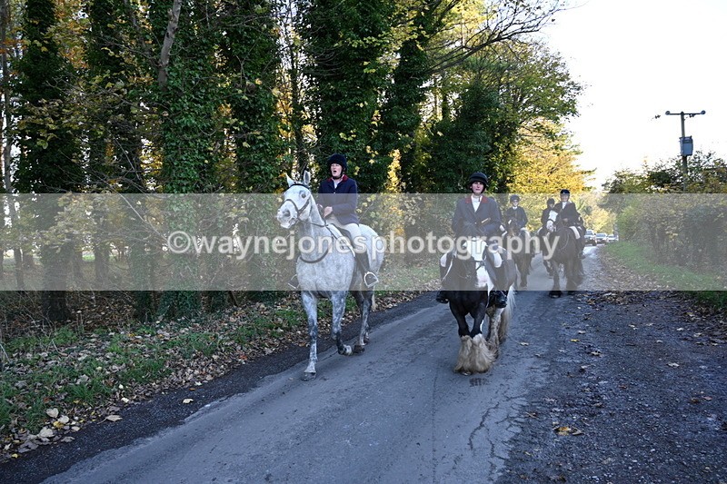 WJ6_9789 - Walk Home