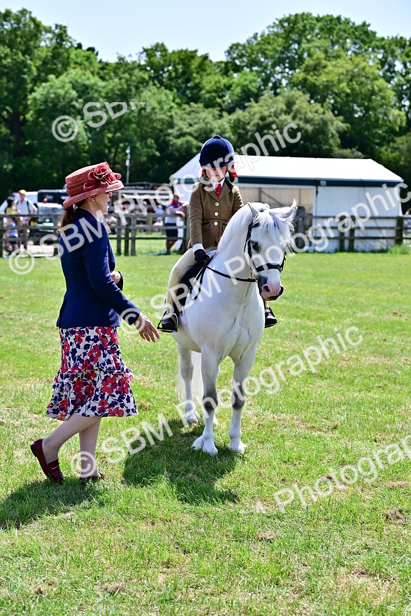 SBM_06075 - Class 59-60 - TSR M&M  Lear Rein and First Ridden Amateur of the year