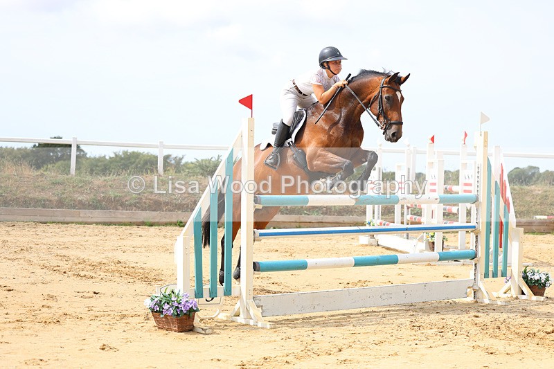 3E7A4318 - Class 8: Senior Foxhunter/1.20 open