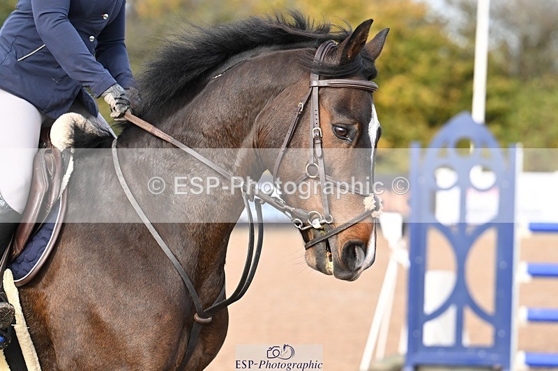 251022-110155-00192 - Clear Round & Cls 1 Brit Nov 90cm