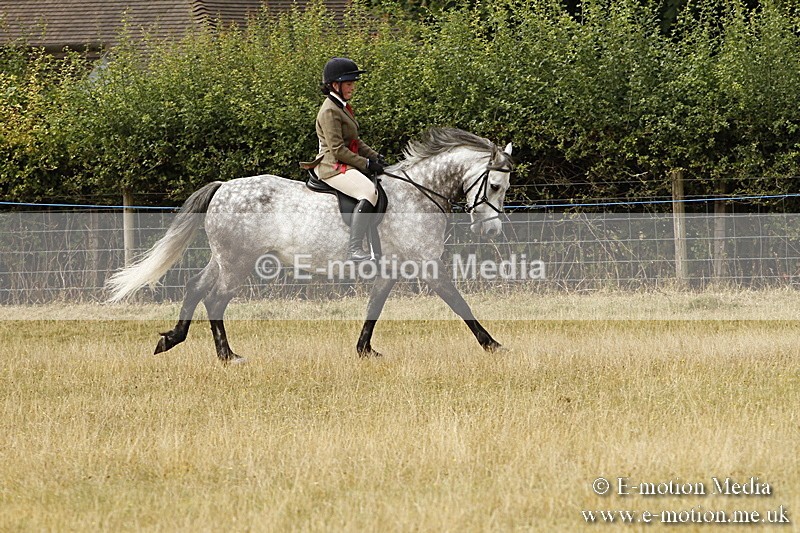 _BS_0589 - BVRC Show 2018 Ring 3