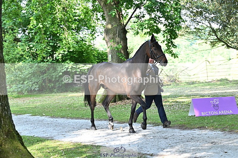 250521A-162708-01151 - C-223-Tom.McEwen-BROOKFIELD.DANNY.DE.MUZE