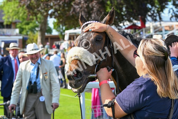 130625-Race 7-Dawn Of Liberation-0338 - Race 7 5.20pm Irish Thoroughbred Marketing Handicap