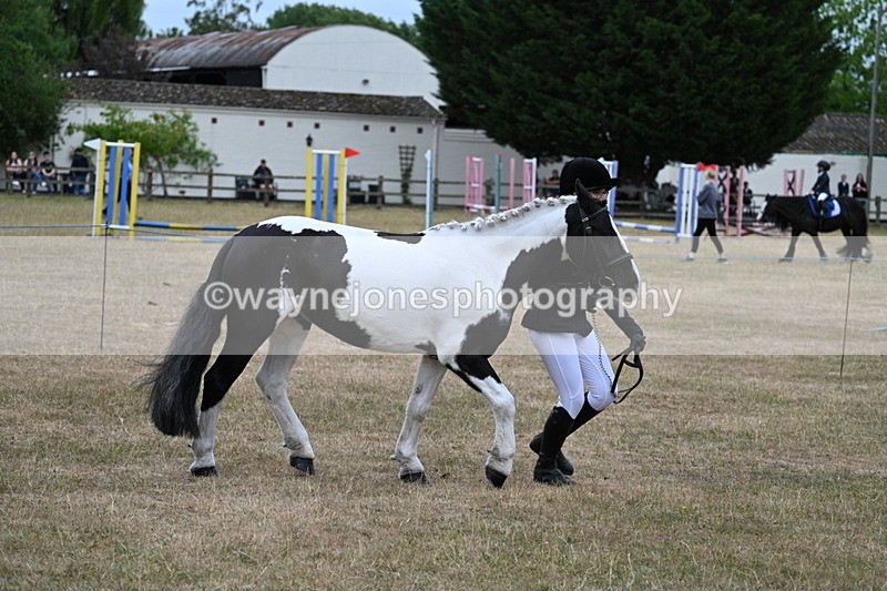 WJ7_8367 - Class 4 Prettiest Mare up to 14.2hh
