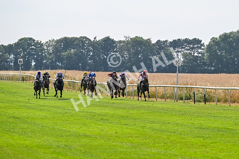 160726-Race 5-Captain Cess-4847 - Race 5 16.10pm Meijer Celebration Cup Handicap