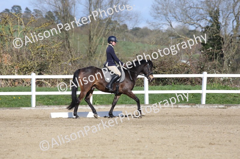 20260314-4227 - DR5 - Novice 1