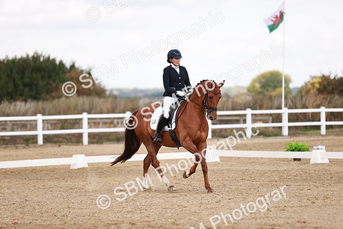 SBM_017668 - Class 11 - Advanced Medium 6