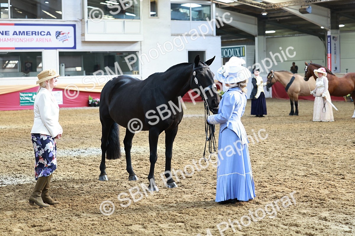 SBM_12096 - Class 103 - IH Costume