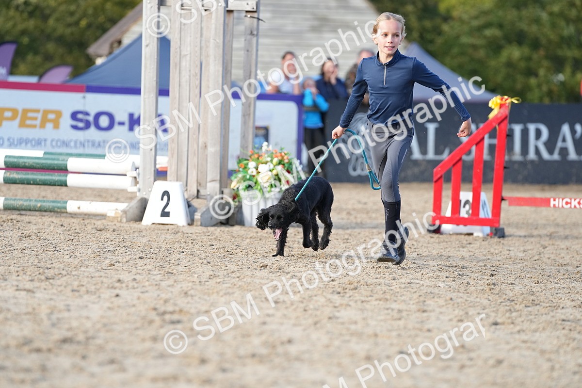 SBM_29132 - J43 - Horse & Hound Open 50cm