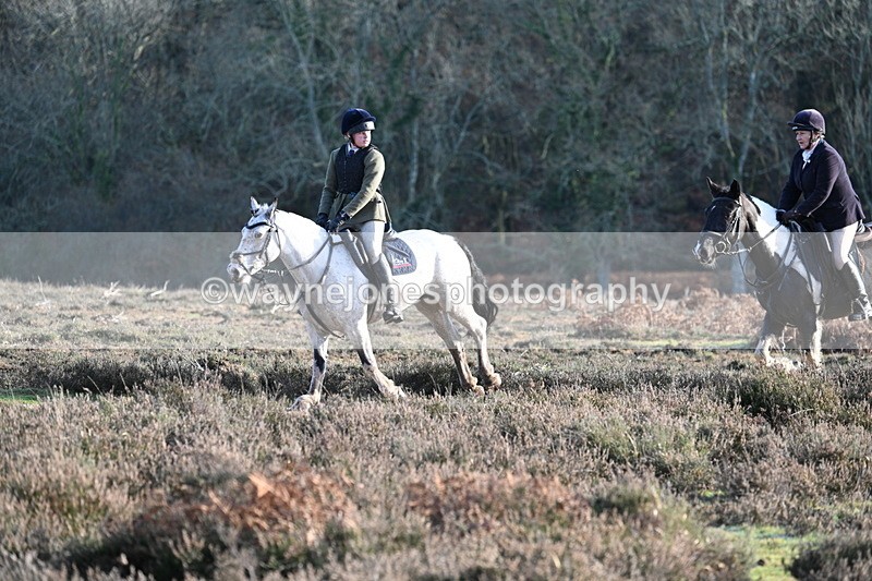 WJ7_7964 - Line 3 (no line 4 or 5)