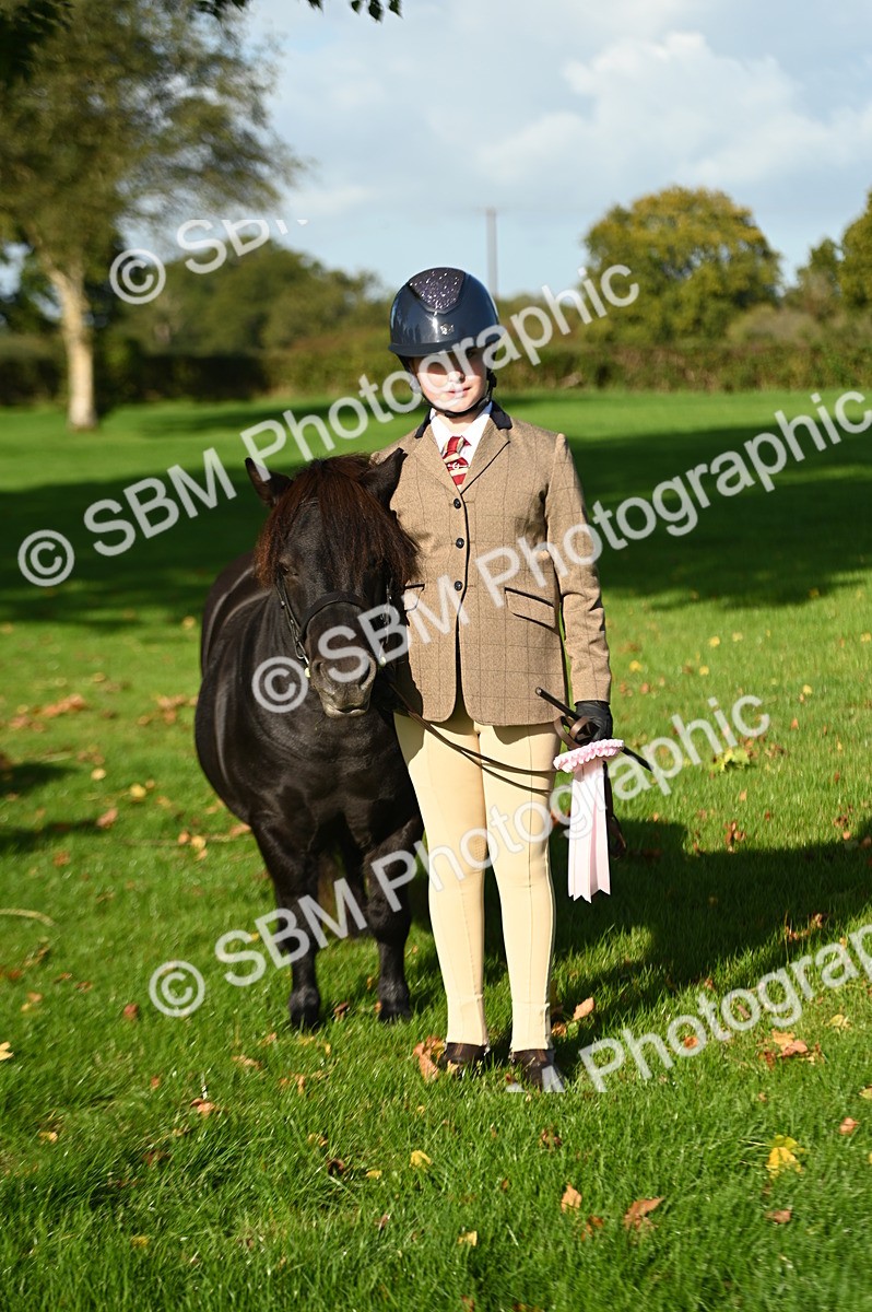 SBM_15808 - S1 - TSR in Hand Horse & Pony Showing
