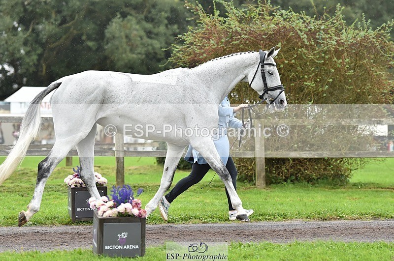 231018-123100-00349 - 042-WKD.COOLEY-Chiara.Grimaldi-TrotUp