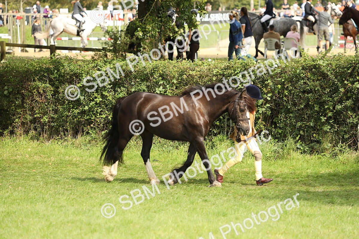SBM_67739 - S39 - Junior Handler 8  Years & Under