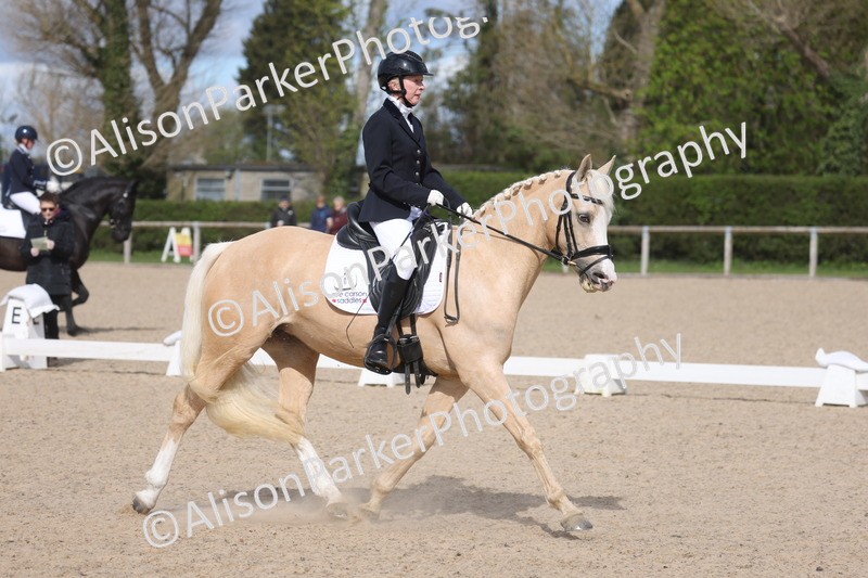 20260405-0198 - Class 3 - Novice 5