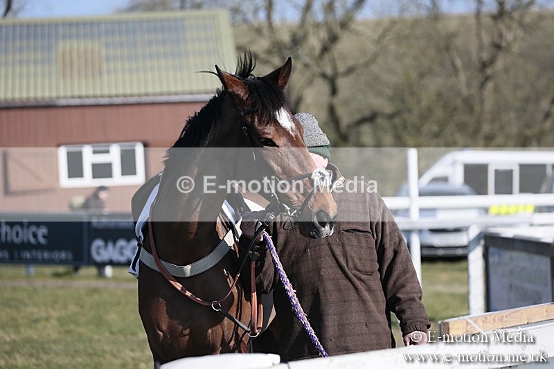 PtP 240218 122 - Vine & Craven Hunt Point-to-Point Barbury racecourse 24/02/18