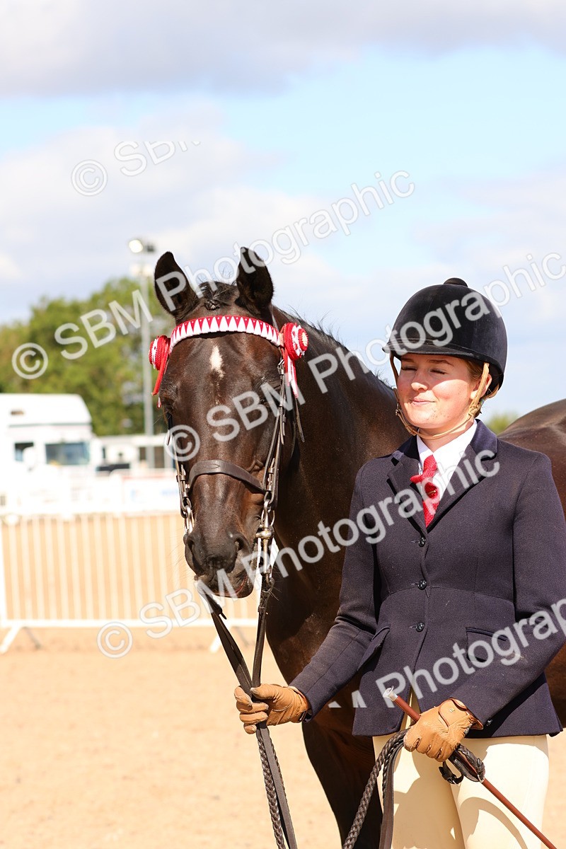 SBM_12333 - Class 210 - IH Show Horse