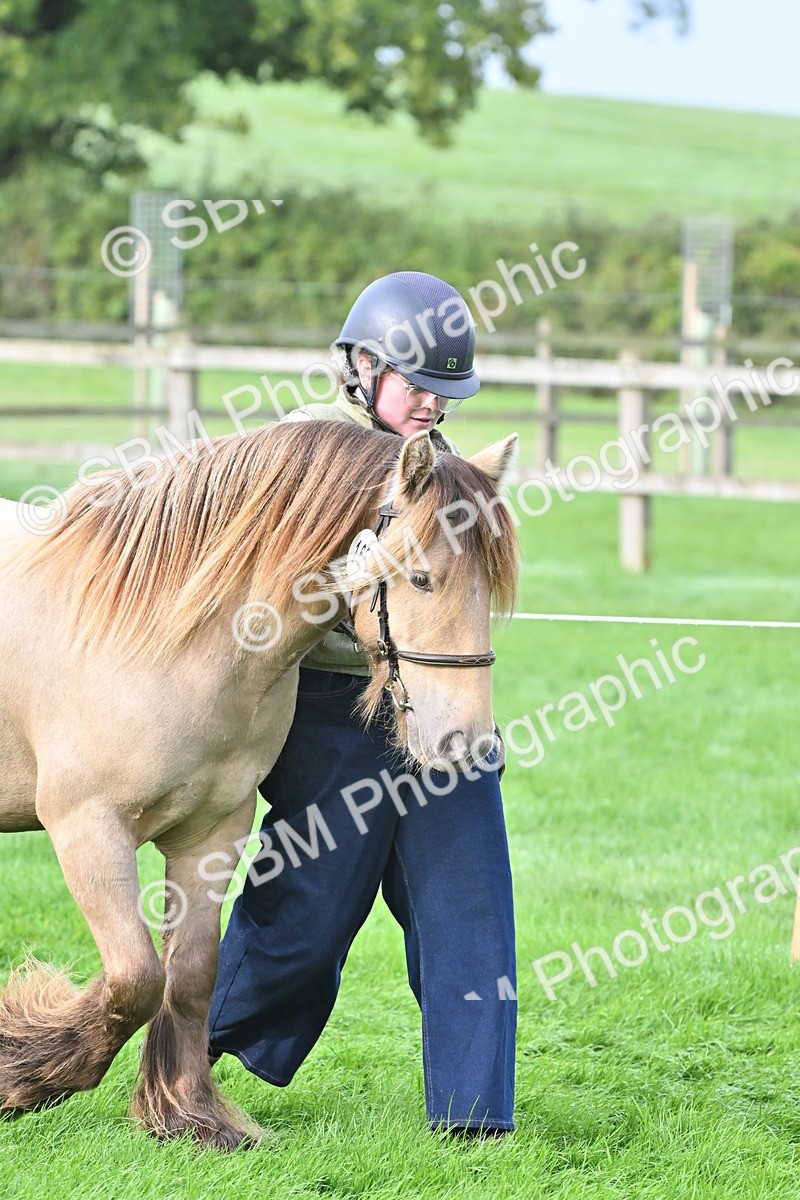 SBM_56861 - S45 - Coloured Pony In Hand