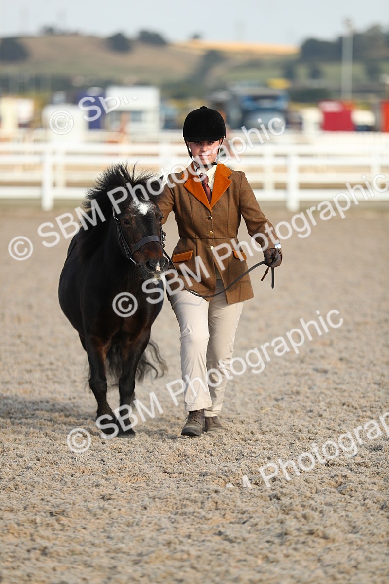SBM_09035 - Class 29 IH Veteran Pony