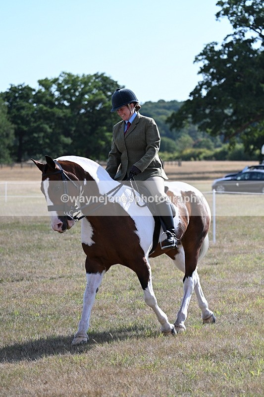 WJ7_2836 - Class 8 Ridden Tack & Turnout