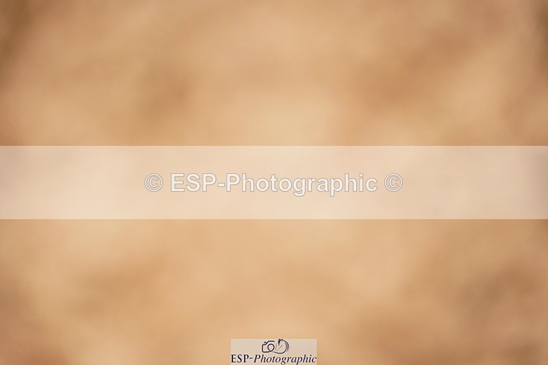 240524A-135830-04159 - Cls 17 National 1.30m