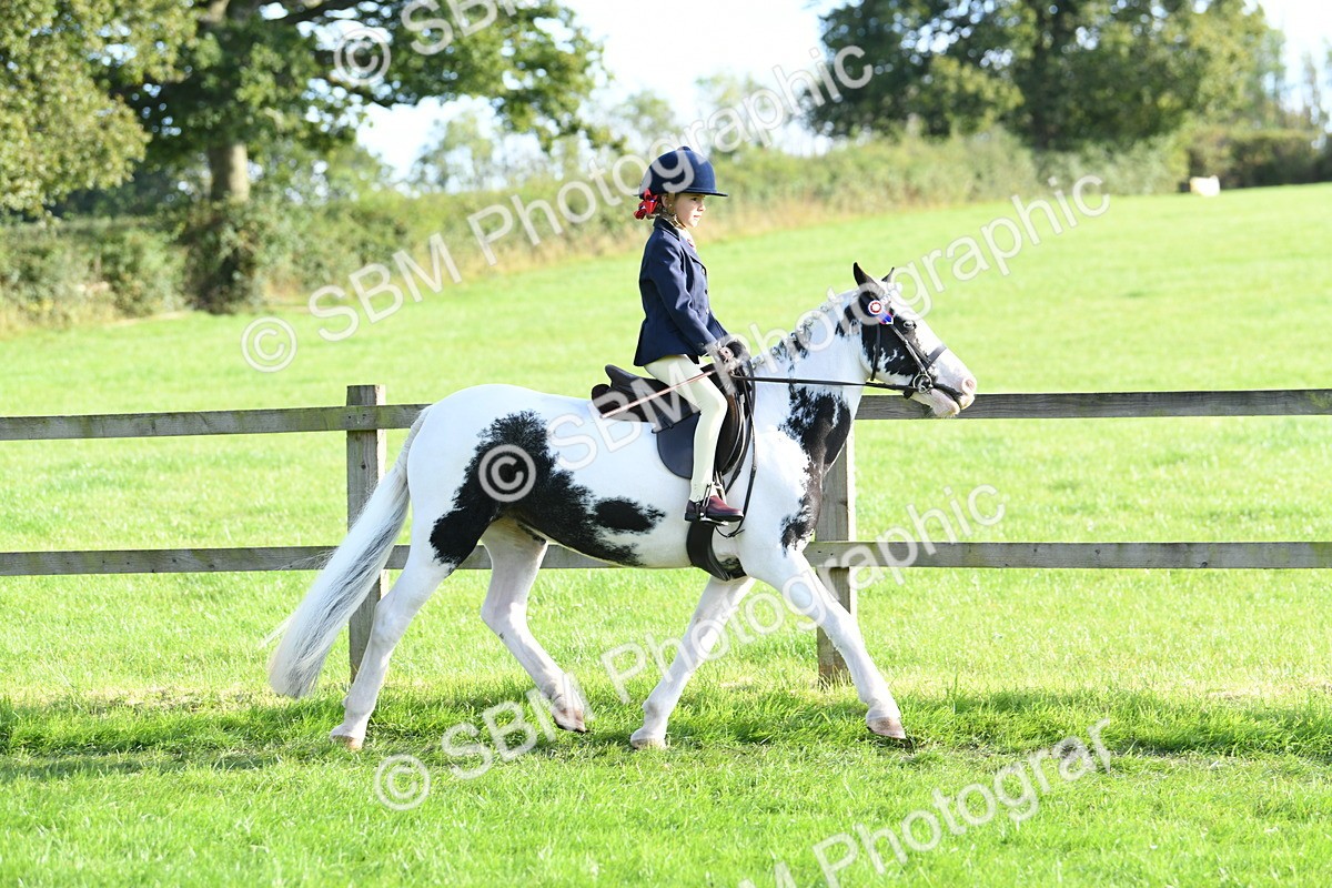 SBM_52387 - S22 - 1st Ridden Show & Show Hunter Pony