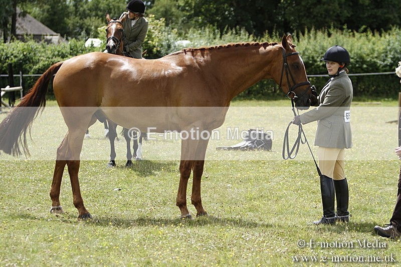 BVR160717-1859 - Ring 3 BVRC Show 16/07/17