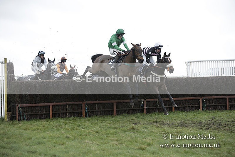 PtP 150320 0481 - New Forest Point-to-Point Larkhill 15/03/20
