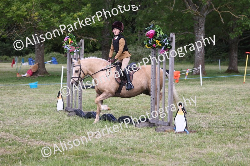 20260614-0454 - Class 20 - Beginners Working Hunter Pony