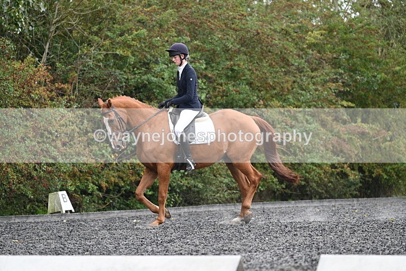 WJ7_6724 - Time 14:49 to 15:14