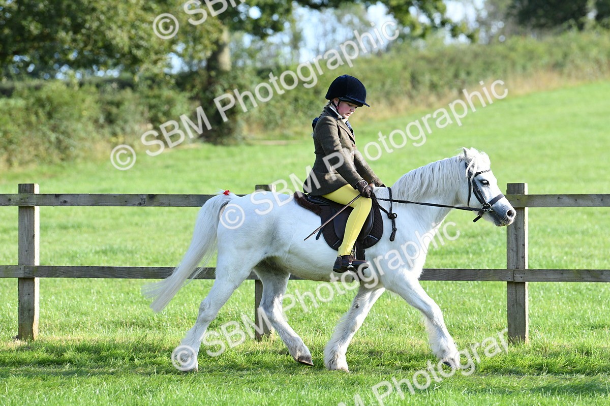 SBM_54017 - S23 - 1st Ridden Mountain & Moorland Pony
