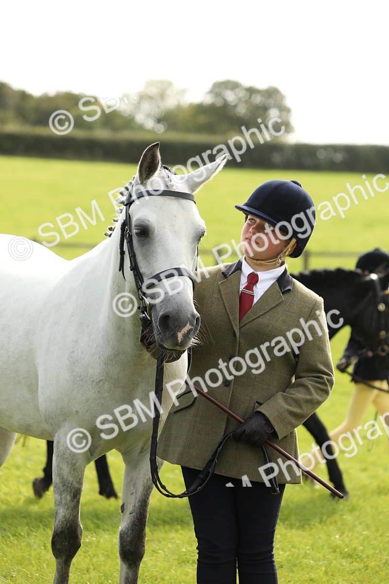 SBM_68725 - S40 - Junior Handler 9-12 Years