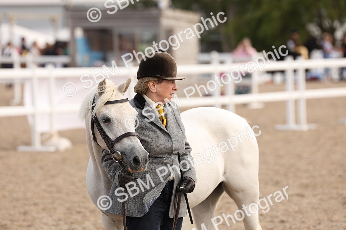 SBM_15116 - Class 209 - IH Veteran Pony