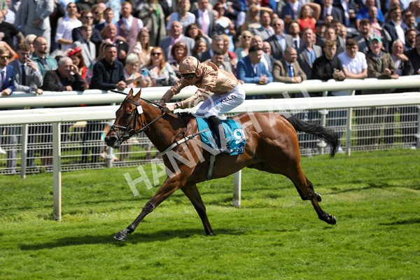 150723-Race 2-Nymphadora-8780 - Race 2 2.35pm John Smith's City Walls Stakes