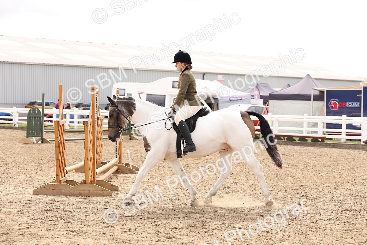 SBM_04293 - Class 54 - Riding Club Horse/Pony