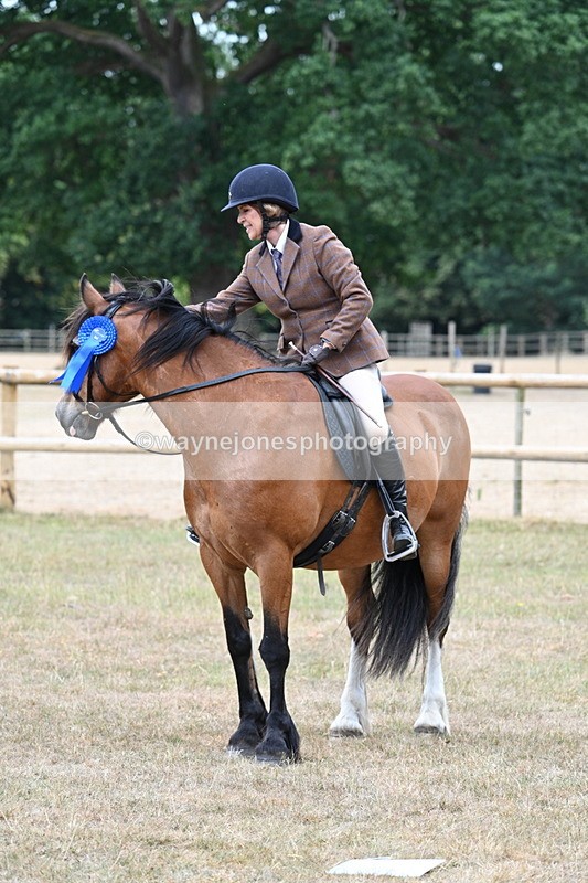 WJ7_0697 - Class 6 Ridden Mountain and Moorland