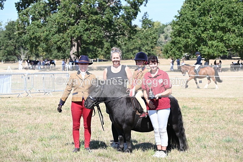 WJ6_8113 - Class 36 Lead Rein