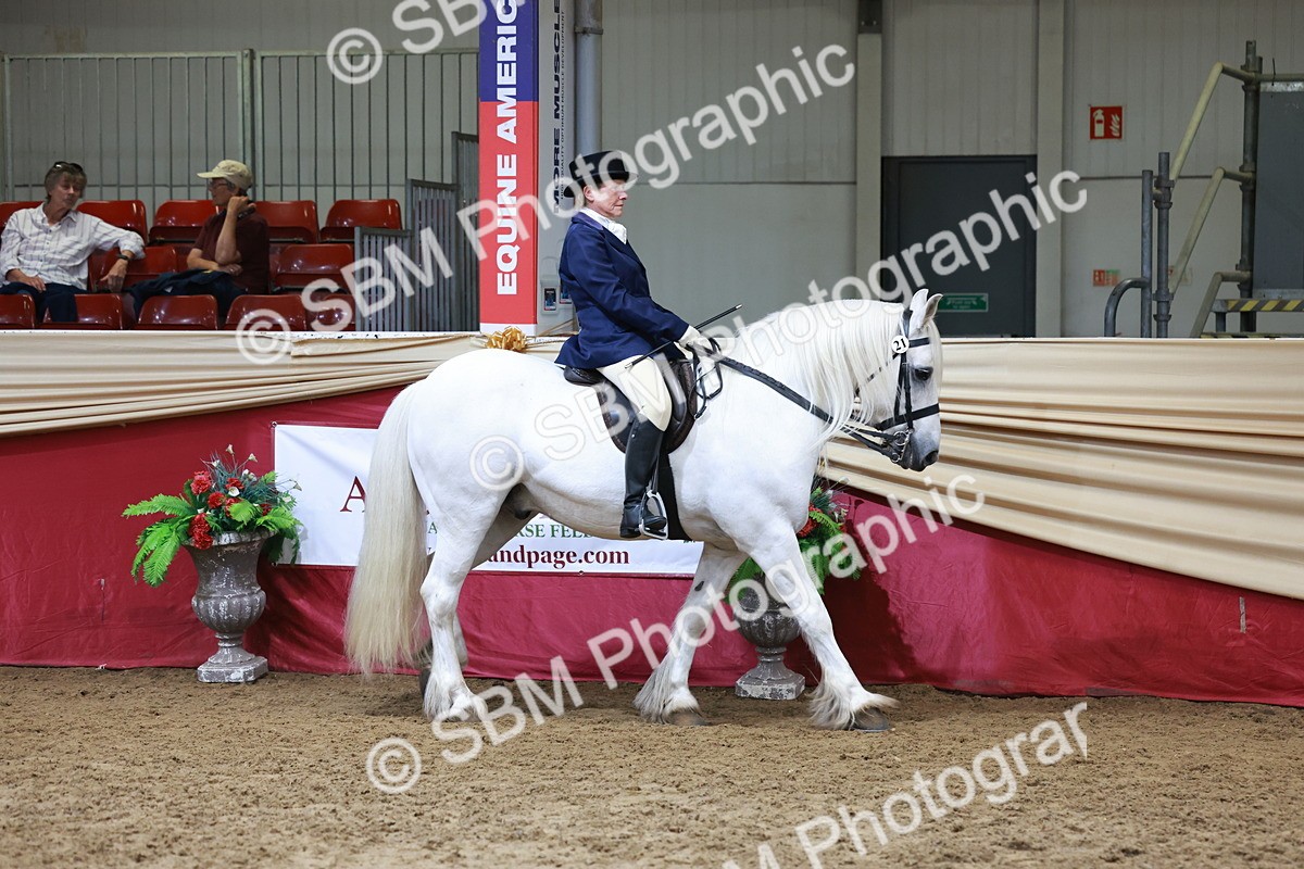 SBM_18527 - Class 952 - M&M Ridden Supreme Final