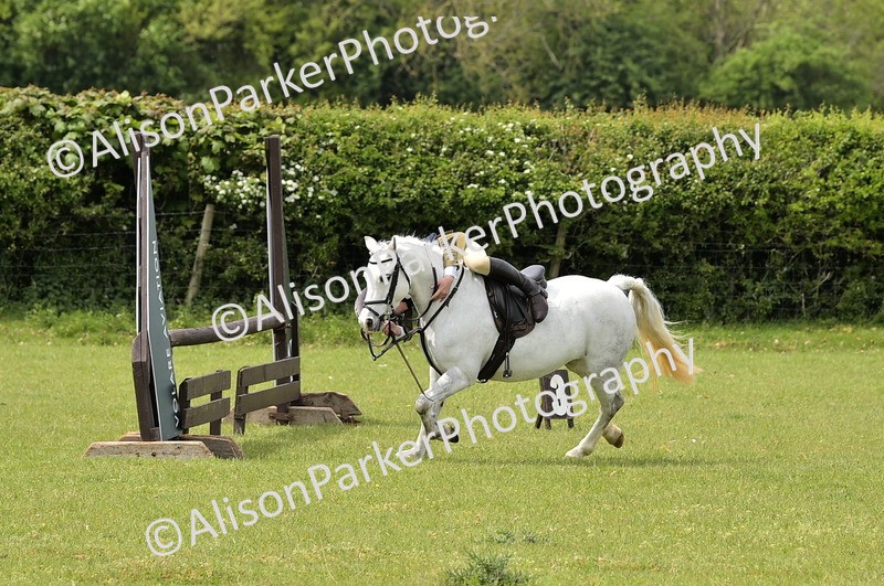 20260426-2411 - Class 21 - Working Hunter Ponies