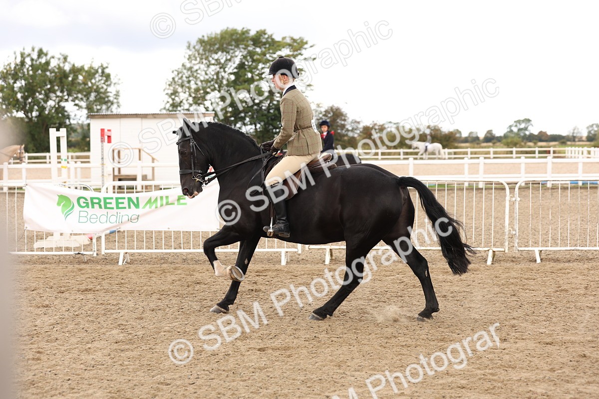 SBM_02912 - Class 53 - Ridden Competition Horse/Pony