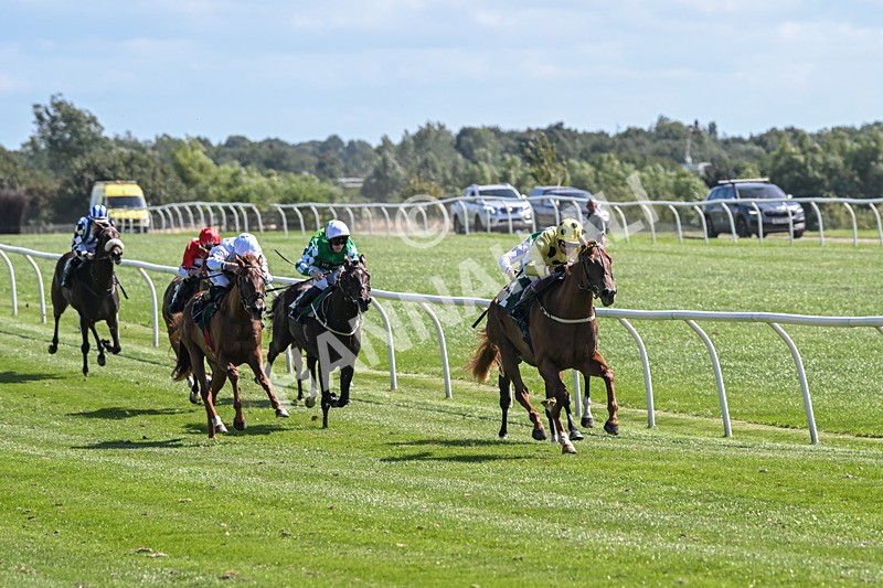 050825-Race 1-Reverberate-5012 - Race 1