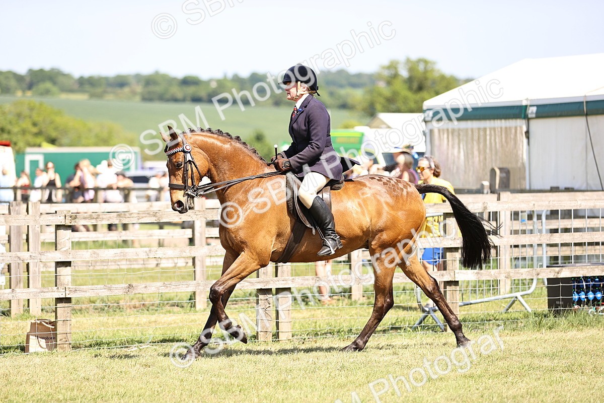 SBM_18015 - Class 81-83 - TSR Ridden Amateur of the Year - Horses