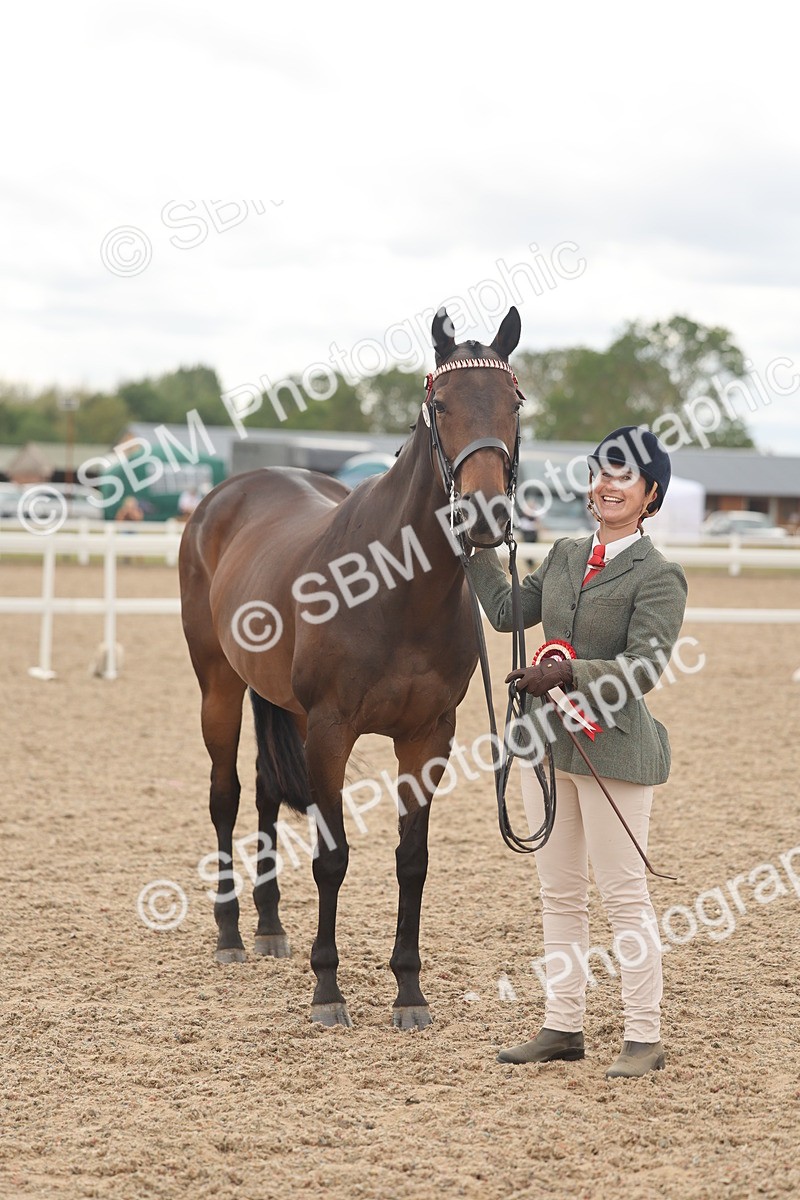 SBM_17146 - Class 313 - IH Retired Racehorse