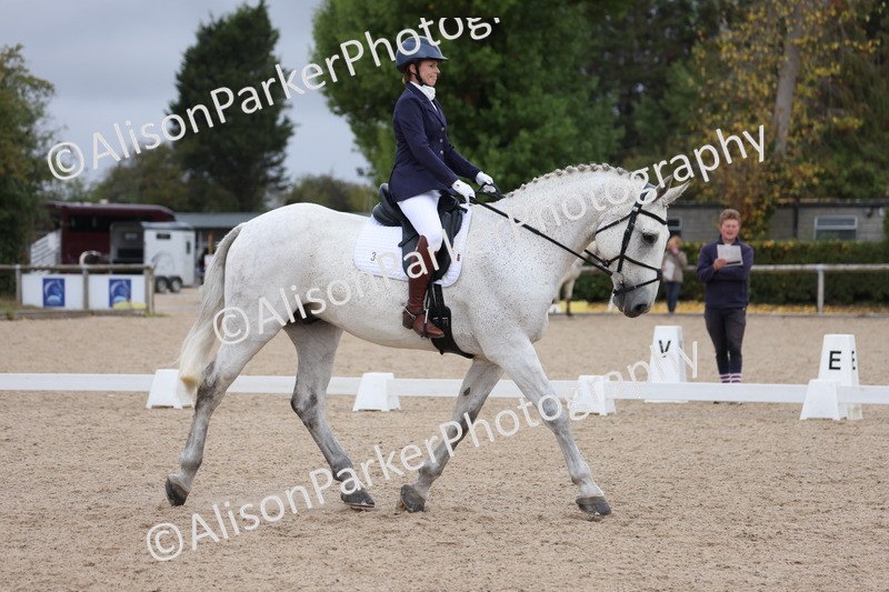 20250820-0174 - Class 9 - My Quest Prelim 3