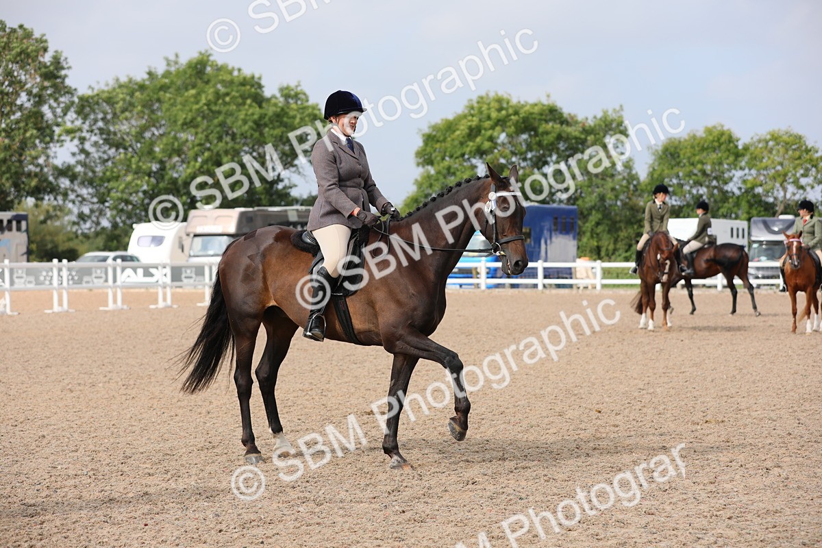 SBM_11444 - Class 305 Ridden Foreign Breeds- Pure Bred