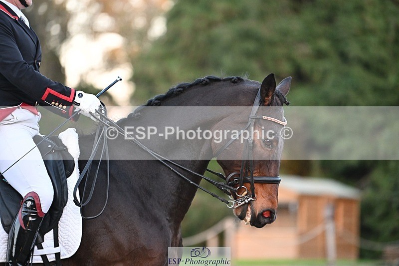 231110-161701-02539 - Cls 12 FEI Inter I