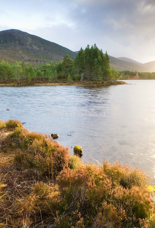 Loch Gamhna bathed in light | Aviemore | Cairngorms Photo Gallery | Scotland