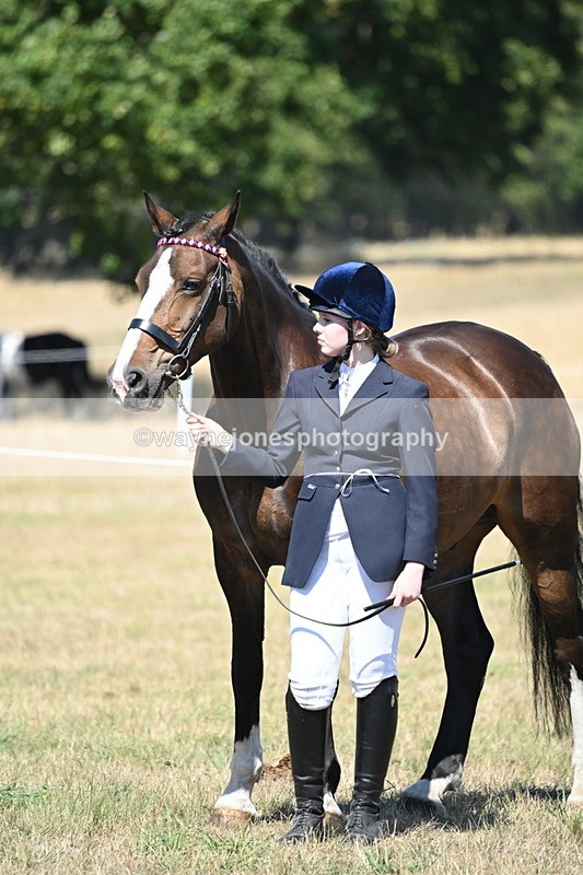WJ6_8685 - Class 37b Best Loan Pony In-hand