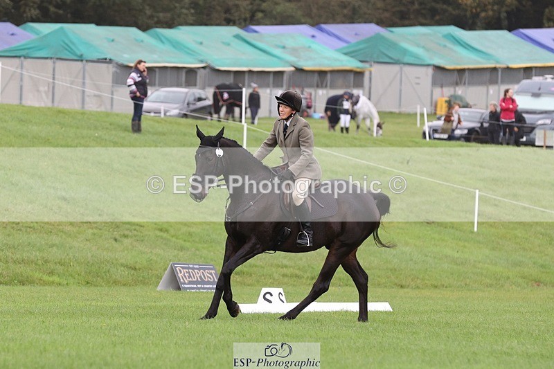 231019-102114-02291 - 602-WIGSY-Janet.Harvey-DR